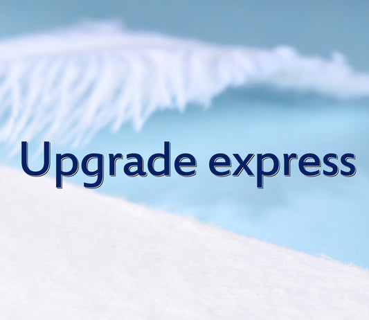 Upgrade Express Service